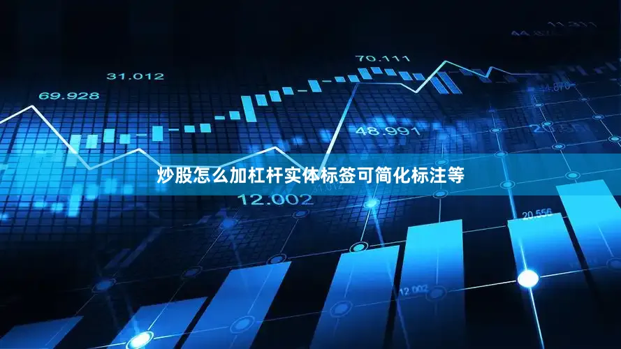 炒股怎么加杠杆实体标签可简化标注等
