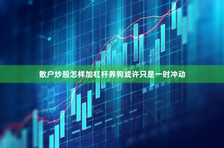 散户炒股怎样加杠杆养狗或许只是一时冲动